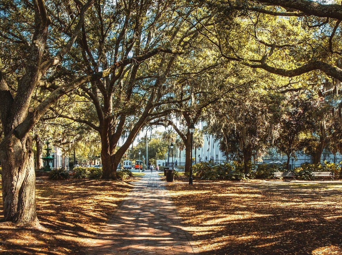 Savannah, Georgia, MIG office reach